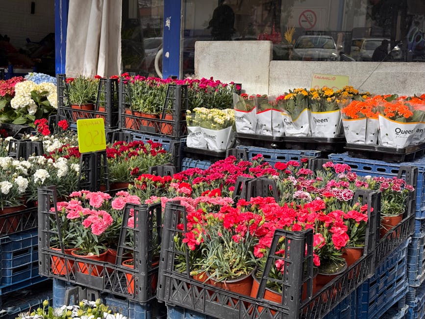 A display of potted flowering plants arranged in black plastic crates outside a shop, featuring vibrant pink, red, white, yellow, and orange blossoms such as carnations and marigolds. The plants are i